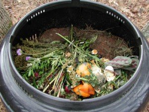 compost